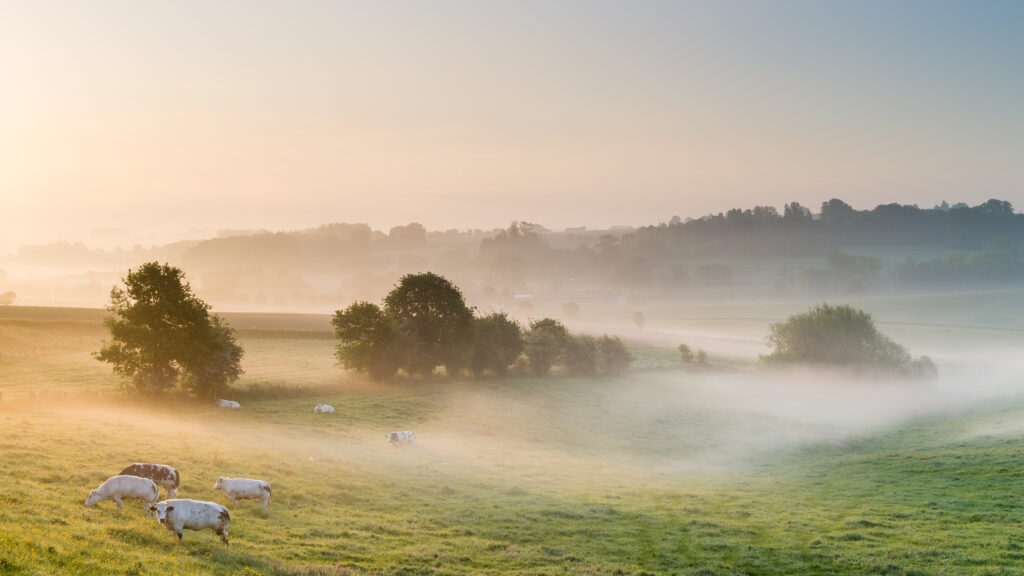 Vlaamse Ardennen